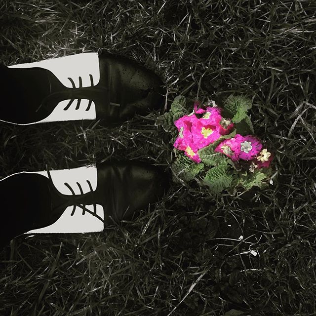 KELLY DIELS spectator pumps and pansies