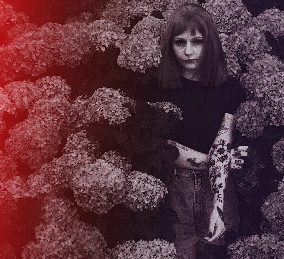 hydrangea blooms and the voice of culture