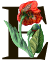 KD – Floral Letters-31