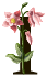 KD – Floral Letters-39