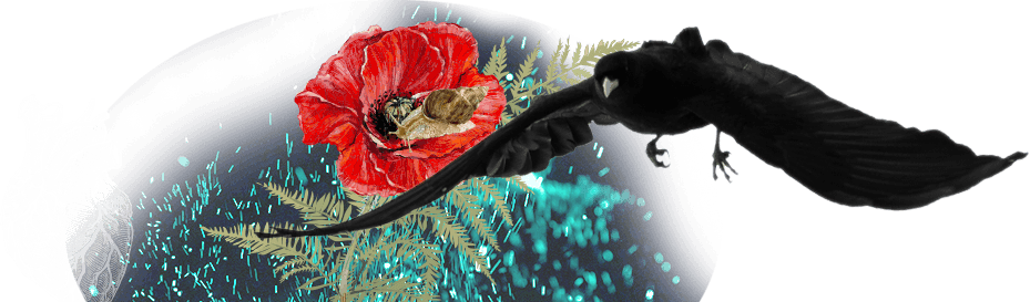 header-kellyfront-1