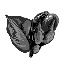 KD - FemmeCopywriting_icon 6