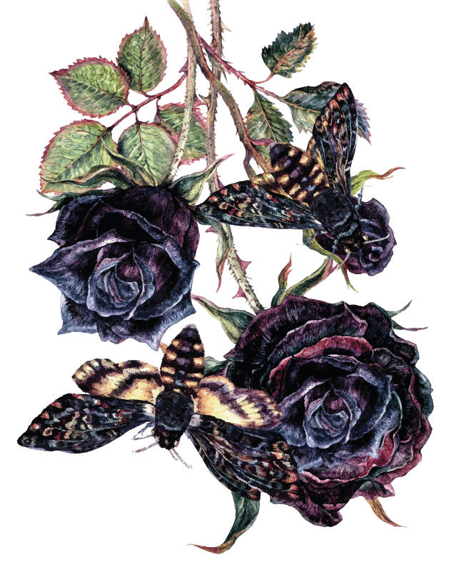 WATCM Flowers_Dangle Flower